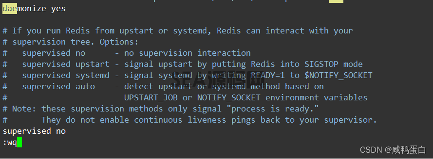 (图11)