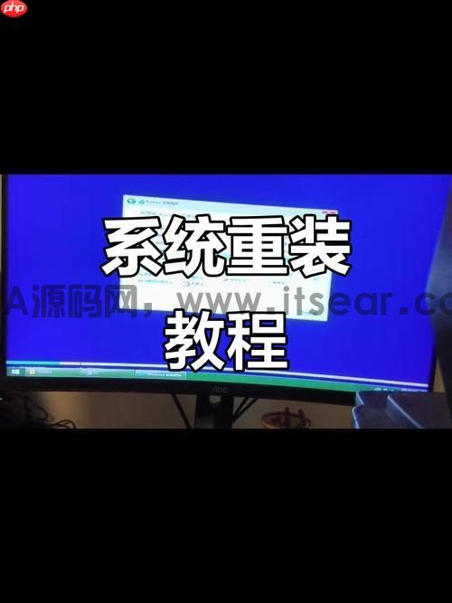 (图1)