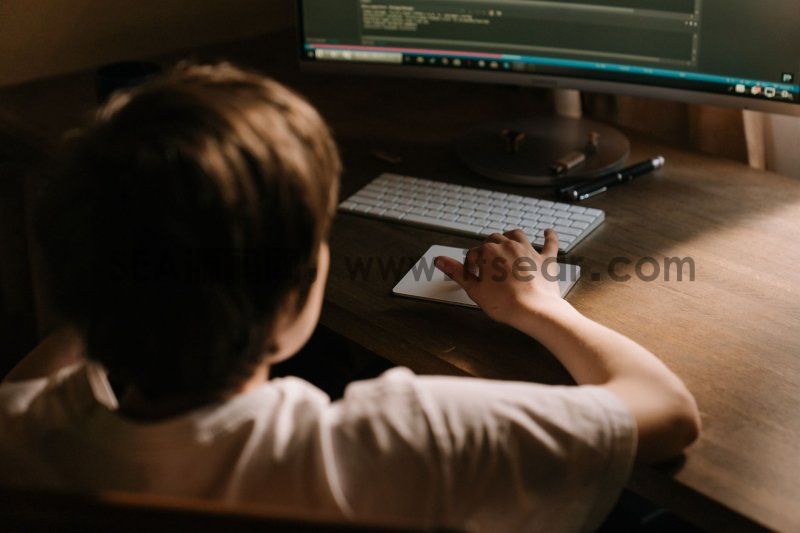 cs(图1)