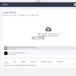 Lsky Pro 企业版兰空图床程序网站