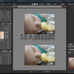 PS磨皮插件Portraiture中文绿
