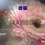 AE/PR万花筒风格模糊插件：Aescr
