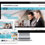 财税管理顾问企业网站模板