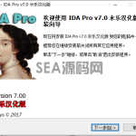 IDA Pro v7.0 永乐汉化版