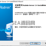 Radmin Viewer(远程控制)v