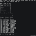 MySQL：用户权限和语言接口