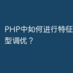 PHP中如何进行特征工程和模型调优？