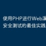 使用PHP进行Web漏洞扫描和安全测试的