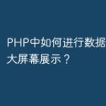 PHP中如何进行数据可视化和大屏幕展示？