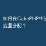 如何在CakePHP中进行模板变量分配？