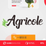 10款实用的WordPress主题网站模