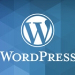 wordpress怎么获取某个栏目链接地
