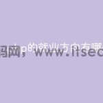 php的就业方向有哪些