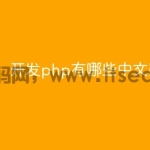 开发php有哪些中文ide