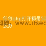 任何php打开都是500错误怎么办