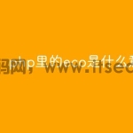 php里的echo是什么意思