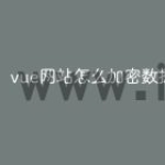 vue网站怎么加密数据