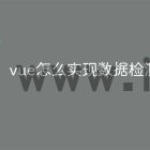 vue怎么实现数据检测