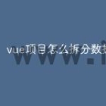 vue项目怎么拆分数据