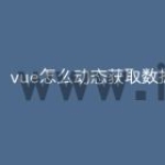 vue怎么动态获取数据列