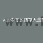 vue中怎么储存大量数据