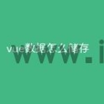 vue数据怎么储存