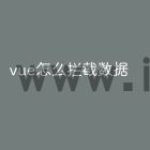 vue怎么拦截数据