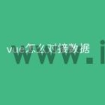 vue怎么对接数据