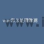 vue怎么处理数据