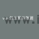 vue怎么展示数据