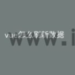 vue怎么刷新数据