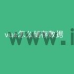 vue怎么储存数据