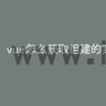 vue怎么获取组建的实例