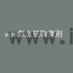 vue怎么获取类别