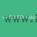 vue怎么获取cookieStorage