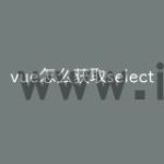 vue怎么获取select