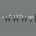 vue怎么获取props