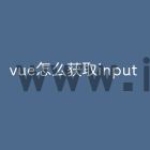vue怎么获取input