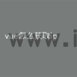 vue怎么获取ip
