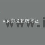 vue怎么获取网址