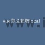 vue怎么获取local