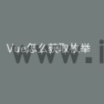 Vue怎么获取枚举