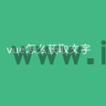 vue怎么获取文字