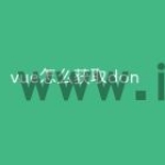 vue怎么获取don