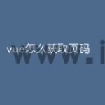 vue怎么获取页码