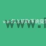 vue怎么获取系统变量