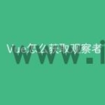 Vue怎么获取观察者