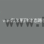vue怎么删除动态路由