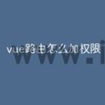 vue路由怎么加权限