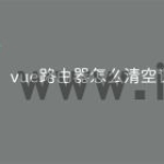 vue路由器怎么清空记录